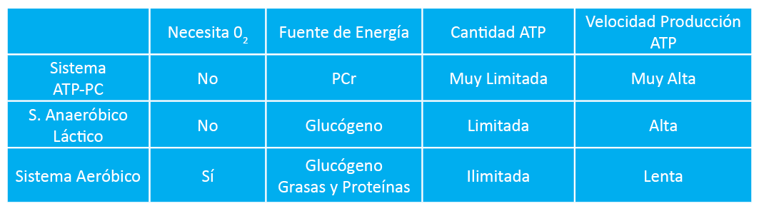 Sistemas Energéticos Fast Fitness