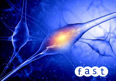 receptores neuromusculares Fast Fitness