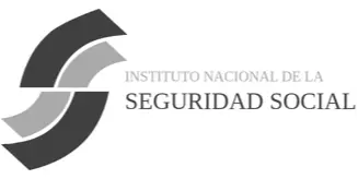 logo-instituto-nacional-ss