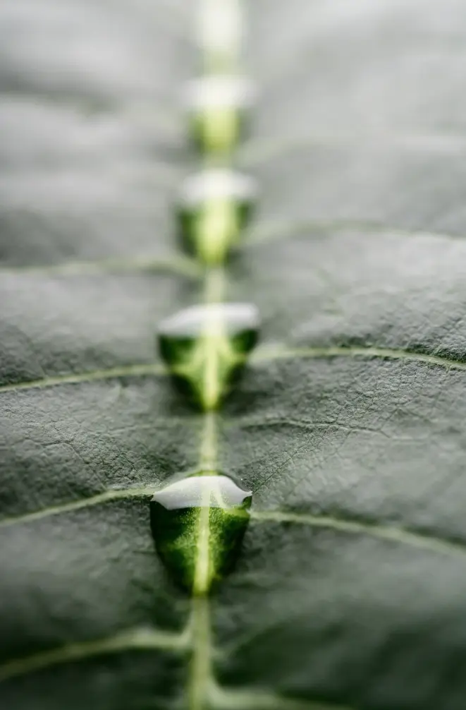 CSRD-sostenibilidad-ESRS