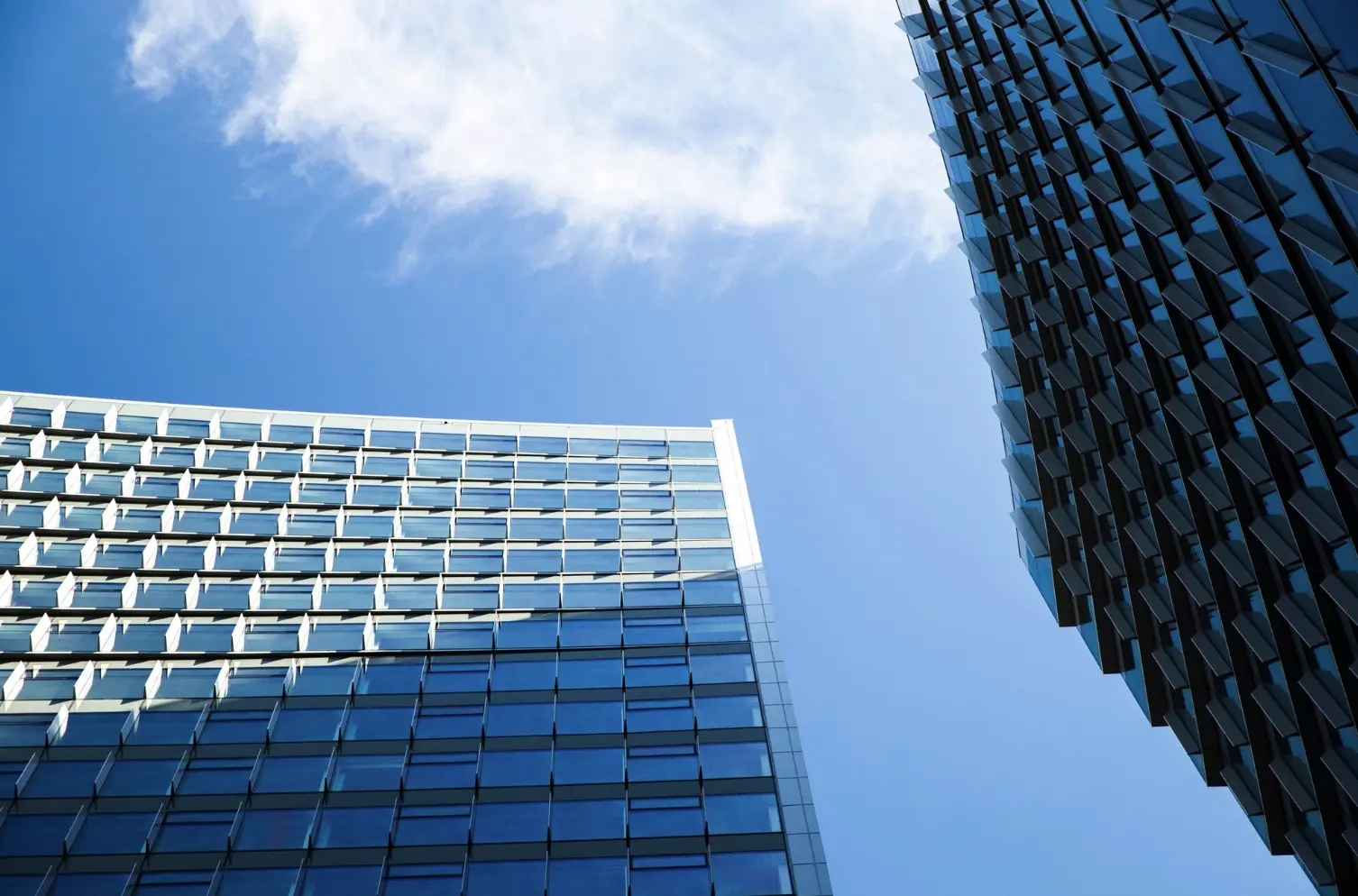 portada-servicios-comercializadoras-NESS