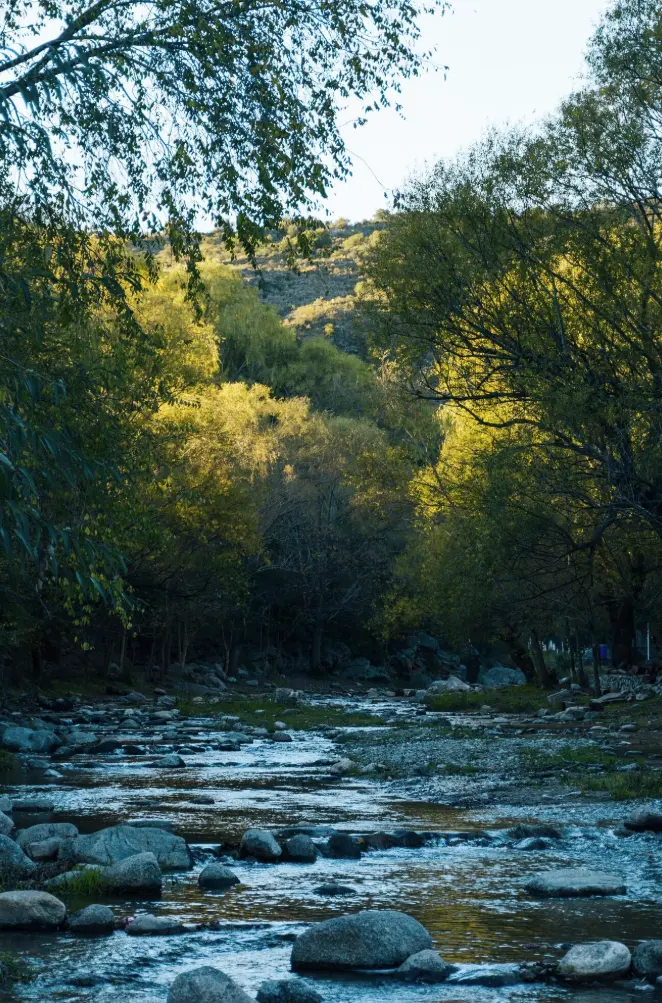 relación-iso-14064-ghg-protocol-NESS