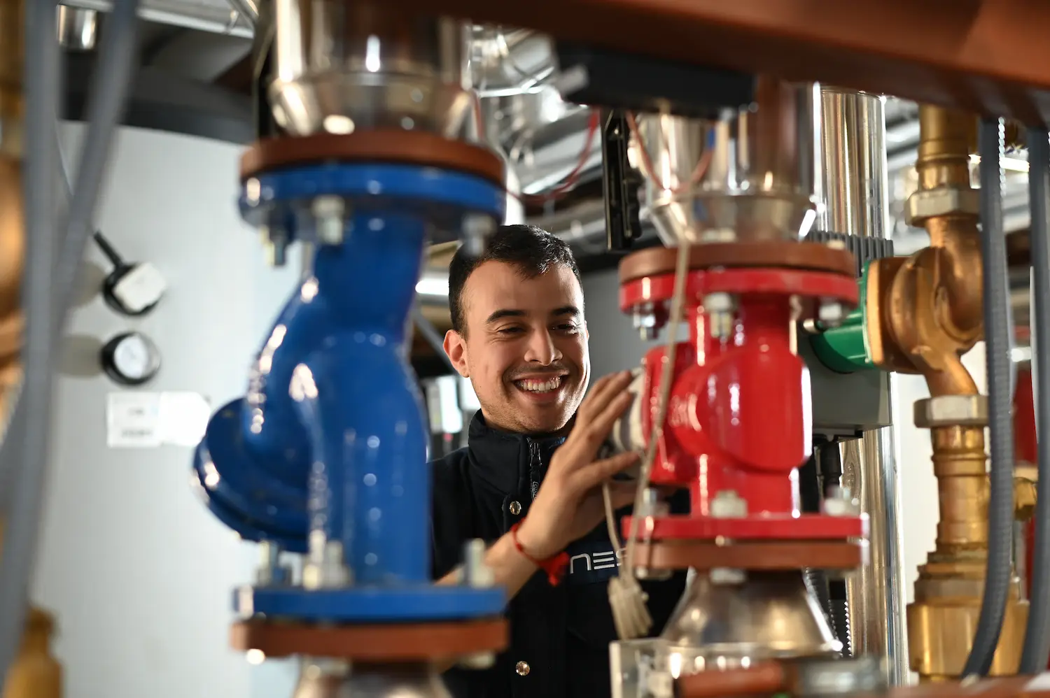 ventajas-auditoria-NESS